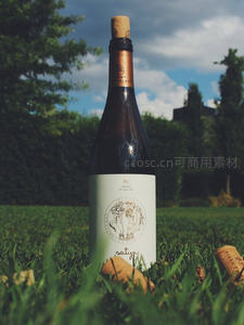 草地上竖立的萨提雅葡萄酒瓶，软木塞散落，绿意盎然户外野餐风