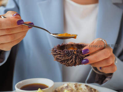 紫甲女子手持海胆壳盛橙色鱼籽酱，银勺轻舀，优雅品鉴珍馐