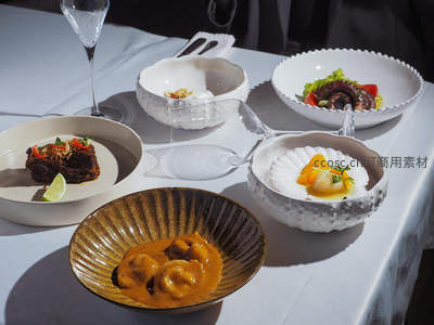 白桌布上四道艺术料理静物：扇贝、章鱼、咖喱与牛肉