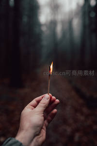 雾林小径中孤手举燃火柴，微光刺破幽暗森林的静谧深处