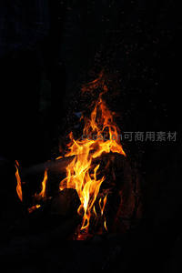 林间篝火跃动燃烧，细碎火星如萤火飘散夜色中