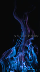 幽蓝火焰升腾于漆黑背景，冷色调火苗如精灵舞动，神秘而梦幻