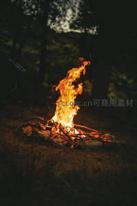 森林深处篝火熊熊燃烧，夜色中跃动温暖橙光
