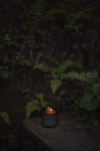苔藓丛中玻璃烛台微光摇曳，静谧绿意环绕