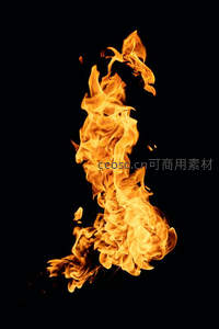 炽热火焰在暗夜中狂舞，卷曲翻腾如龙蛇盘绕，气势磅礴