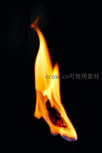 单束火焰垂直升腾，尖端细长如笔触，黑底衬托纯粹能量