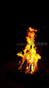 夜幕下熊熊燃烧的篝火，火焰跃动如生命之舞