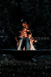 户外金属火盆中篝火熊熊燃烧，夜色森林背景映衬温暖火焰