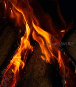 微距特写燃烧木柴，火焰缠绕纹理清晰可见