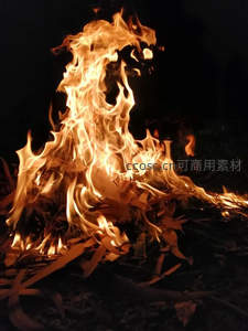 夜幕下熊熊篝火腾跃，枯叶飞舞，暖光撕裂黑暗的瞬间