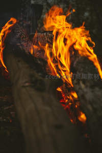 柴火堆烈焰升腾，焦黑木纹与跳动火舌交织的野营实拍