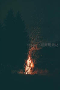 森林深处篝火升腾火花，暗夜中火光如塔，神秘而炽热