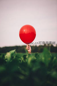 绿野中高举的鲜红气球，手部特写与自然背景形成鲜明对比