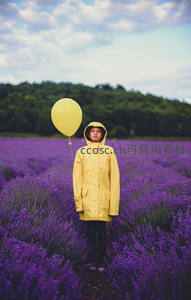 穿黄雨衣孩童手持黄气球伫立紫色薰衣草田