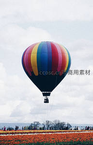 彩虹热气球悬浮于橙红郁金香花海之上，游客驻足仰望
