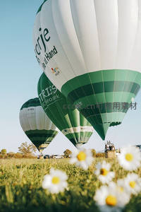 绿白条纹热气球低空升空，雏菊前景虚化，田野风光静谧