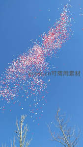万千红白气球升空汇成彩带，枯枝映衬湛蓝苍穹