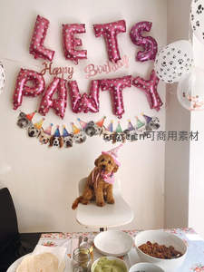 萌犬戴帽坐椅庆生，粉色气球字母‘LET’S PAWTY’欢乐满屋