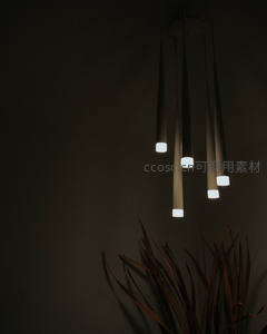 暗夜中垂悬现代吊灯与枯叶植物静谧构图