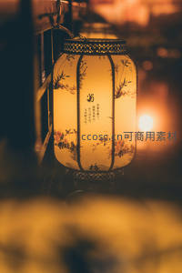 中式手绘花鸟灯笼特写，暖光映衬古典诗词与雅致纹样