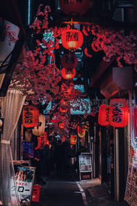 樱花枝垂巷弄间，红灯笼与霓虹交织的东京夜市小径