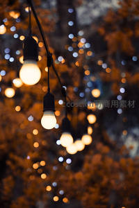 秋夜树影间暖光串灯梦幻虚化特写