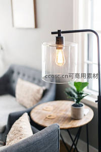 工业风玻璃罩落地灯点亮客厅角落，复古爱迪生灯泡与绿植相映成趣
