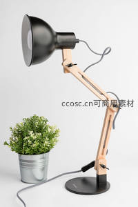 木质关节台灯配绿植小盆栽，黑白灰与自然元素融合