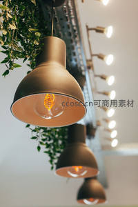 工业风吊灯阵列与垂挂绿植，复古爱迪生灯泡温暖发光