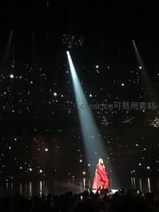 红裙歌者聚光灯下倾情演唱，星幕舞台与观众手机光点共绘梦幻现场