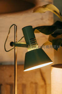墨绿 Adjustable 台灯点亮角落，叶片掩映间透出温润光晕