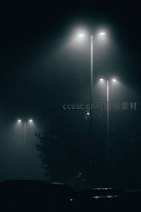 浓雾中路灯穿透夜色的幽蓝光柱与剪影树影