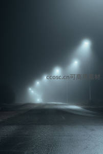 雾霭弥漫的乡间公路，路灯连成光之引路者