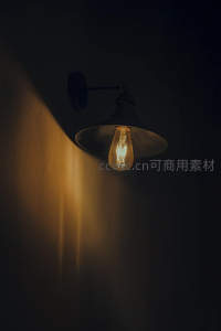 复古爱迪生灯泡壁灯暖光投射墙面光影特写