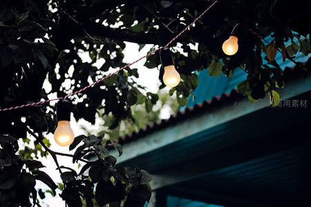 树荫下串灯点缀庭院的夏夜浪漫氛围