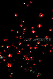 夜空中飘浮的红色灯笼群，如星火般散落于漆黑天幕的节日梦境