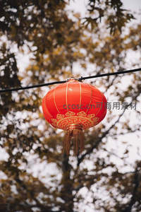 红灯笼悬于枝桠间，金纹祥云图案映衬秋叶斑驳，传统年味跃然眼前