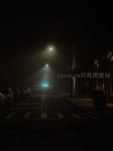 雾夜街巷：路灯穿透浓雾，空旷街道静谧深邃